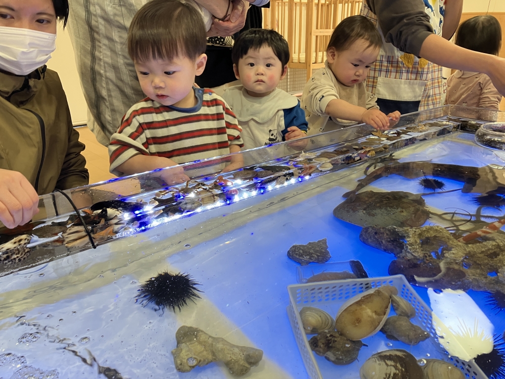 移動式水族館『たっちんぐぷーる』が遊びに来てくれました！